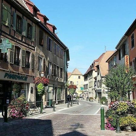 Studio 1 à 2 personnes idéal court séjour Soultz-Haut-Rhin Exterior foto